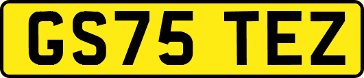 GS75TEZ