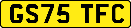 GS75TFC