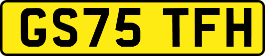 GS75TFH
