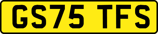 GS75TFS