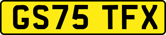 GS75TFX