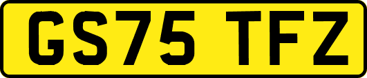 GS75TFZ