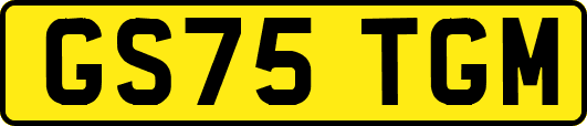 GS75TGM