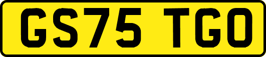 GS75TGO
