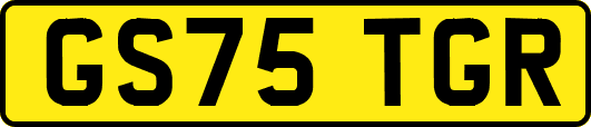 GS75TGR
