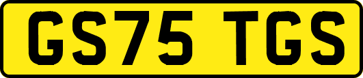 GS75TGS
