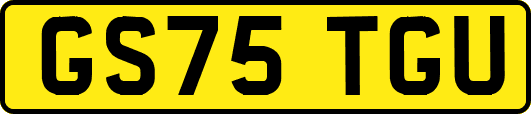 GS75TGU
