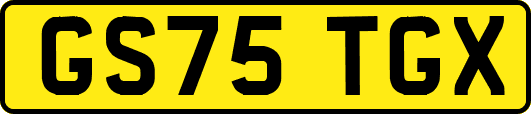 GS75TGX