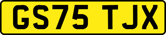 GS75TJX