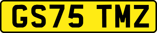 GS75TMZ