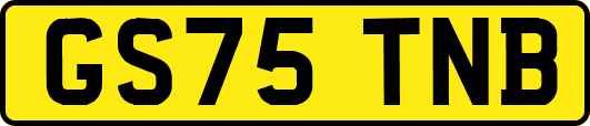 GS75TNB