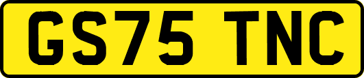 GS75TNC
