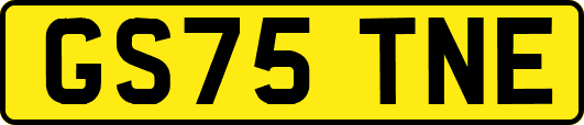 GS75TNE