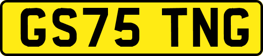 GS75TNG