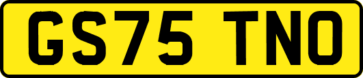 GS75TNO