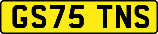 GS75TNS