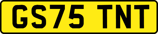 GS75TNT