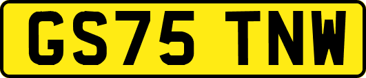 GS75TNW