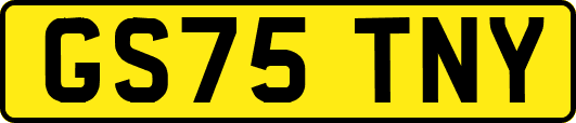 GS75TNY