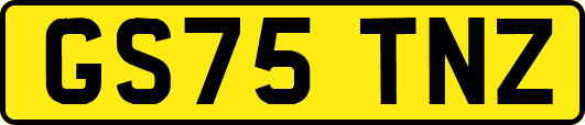 GS75TNZ