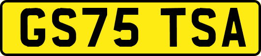 GS75TSA