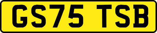 GS75TSB