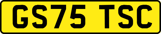 GS75TSC