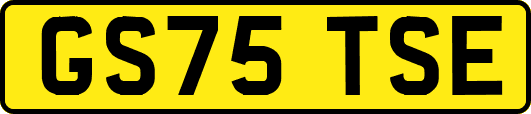 GS75TSE