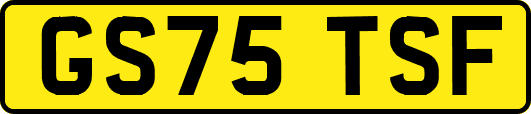 GS75TSF