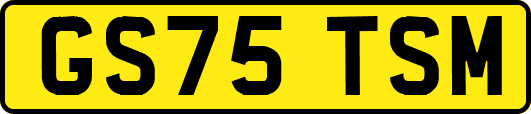 GS75TSM