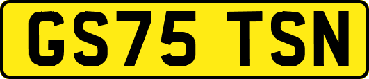 GS75TSN