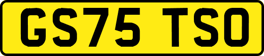 GS75TSO