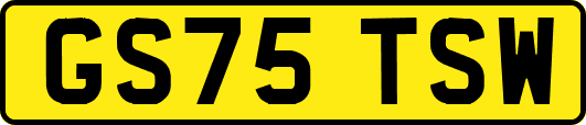 GS75TSW