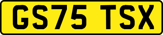 GS75TSX