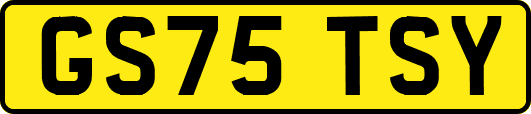 GS75TSY