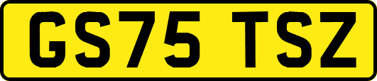 GS75TSZ