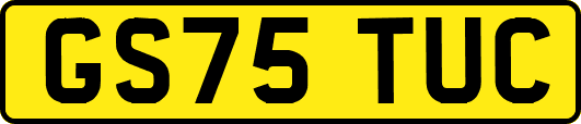 GS75TUC