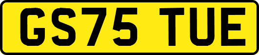 GS75TUE