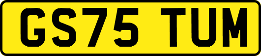 GS75TUM