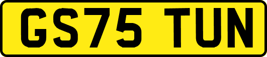 GS75TUN