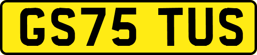 GS75TUS