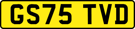 GS75TVD