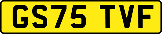 GS75TVF