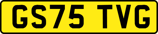 GS75TVG