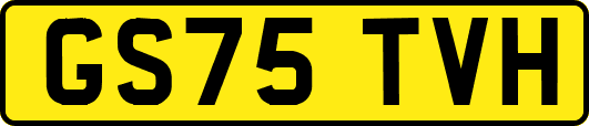 GS75TVH