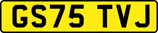 GS75TVJ