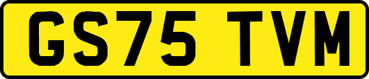 GS75TVM