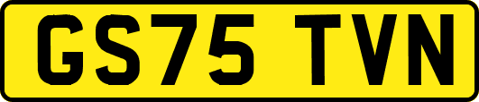 GS75TVN