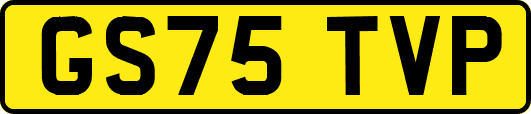 GS75TVP