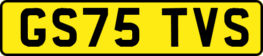 GS75TVS